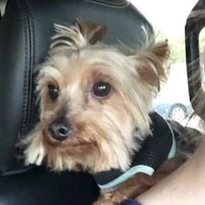 Meet your Posher, Katie